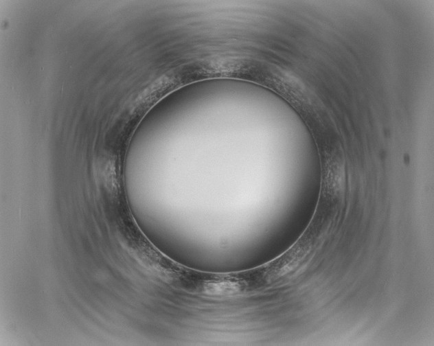 X0000060790220200511171316