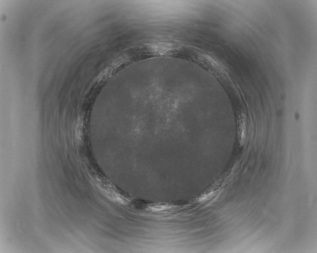 X0000060790221200511171316