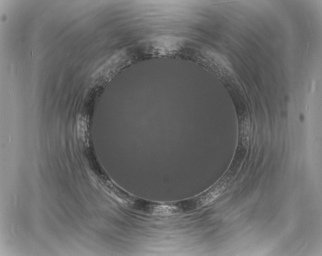 X0000060790222200511171316