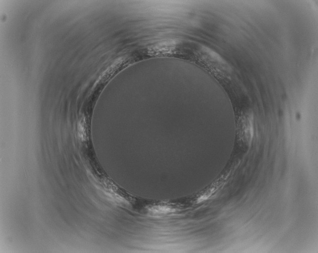 X0000060790224200511171316