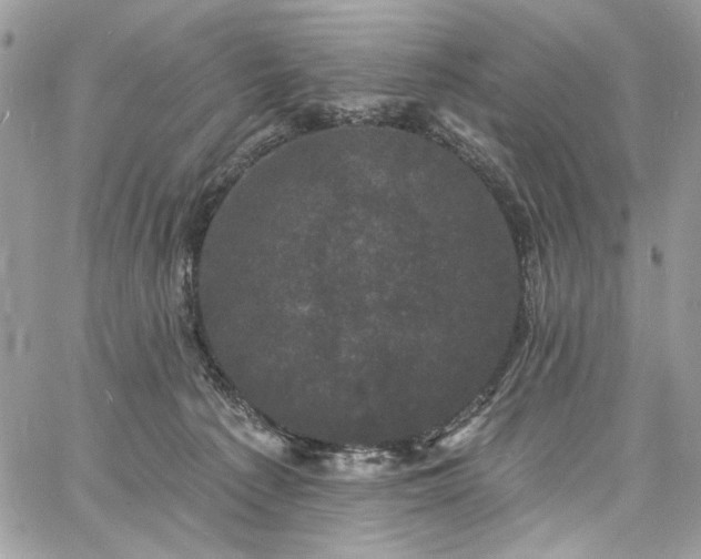 X0000060790225200511171316