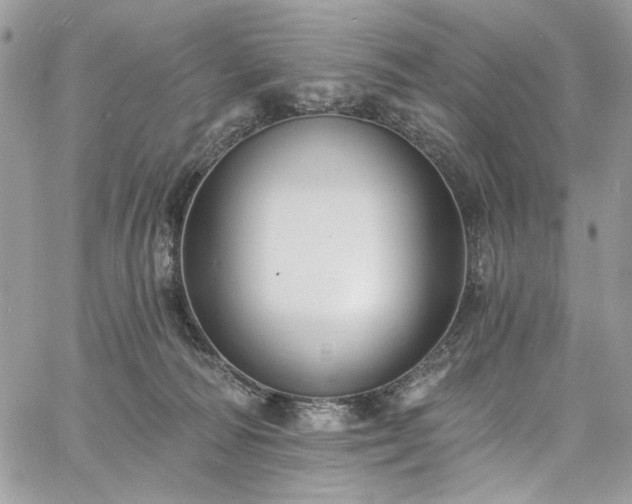 X0000060790226200511171316