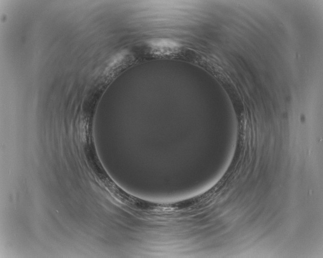 X0000060790227200511171316