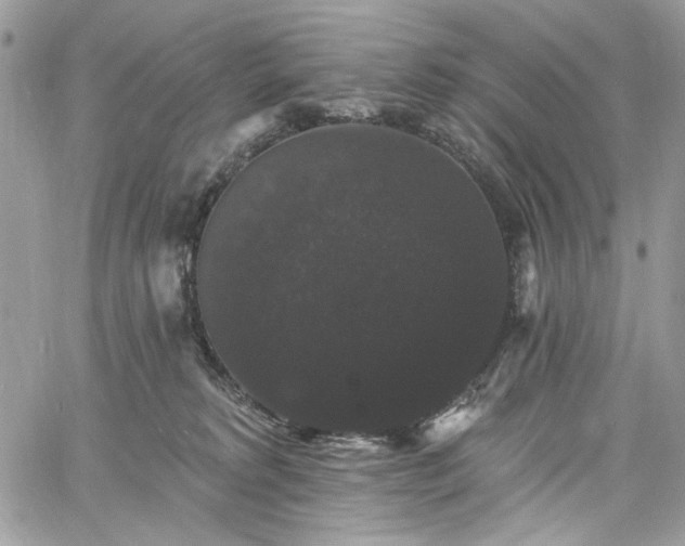 X0000060790229200511171316