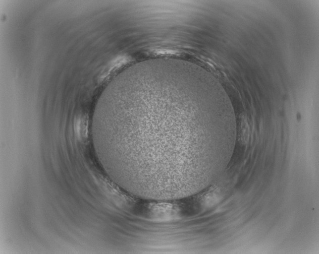 X0000060790230200511171316