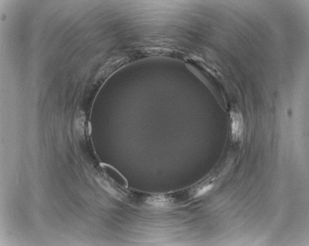 X0000060790231200511171316