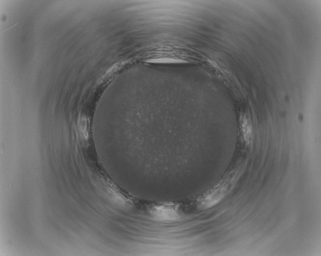 X0000060790232200511171316