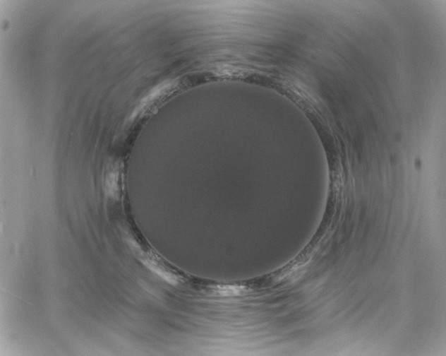 X0000060790233200511171316