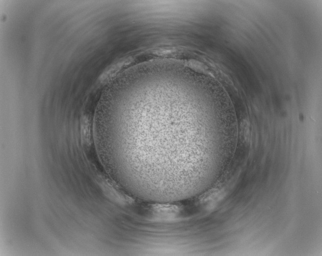 X0000060790234200511171316