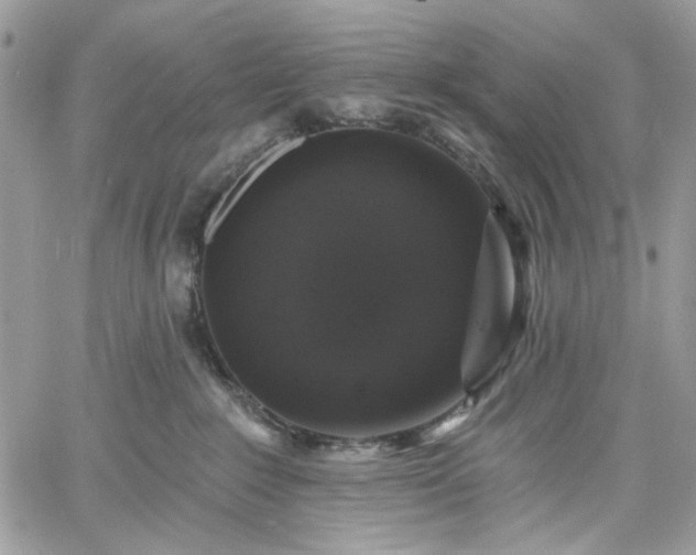 X0000060790235200511171316