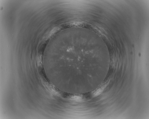 X0000060790236200511171316