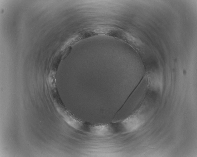 X0000060790237200511171316