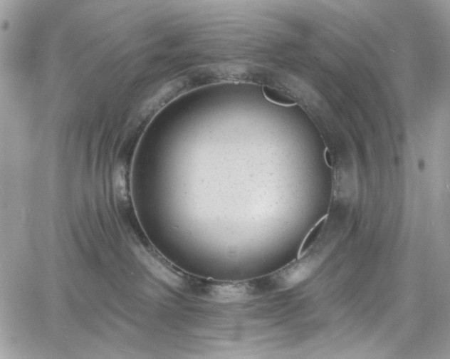 X0000060790238200511171316