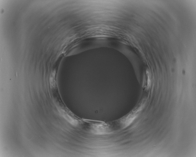 X0000060790239200511171316