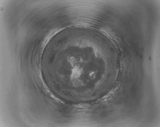 X0000060790241200511171315