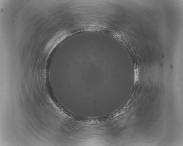 X0000060790243200511171315