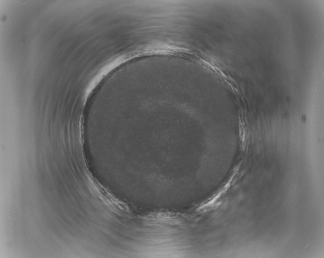 X0000060790244200511171315