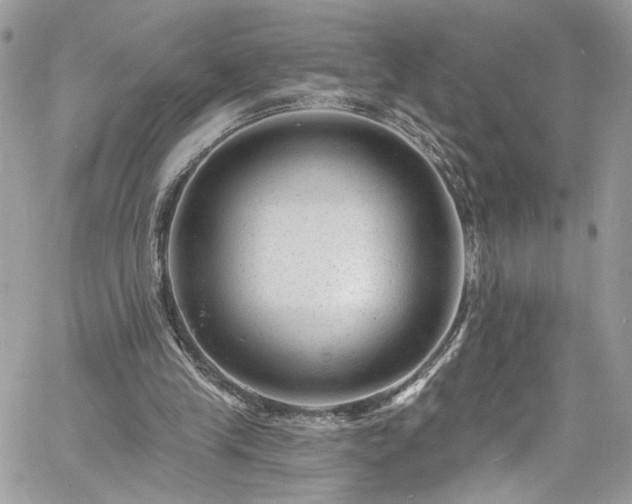 X0000060790245200511171315