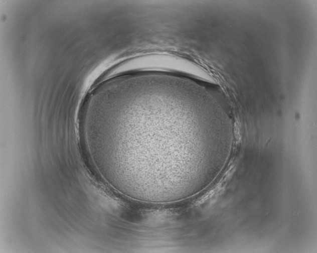 X0000060790246200511171315