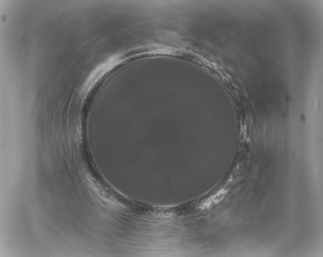 X0000060790247200511171315