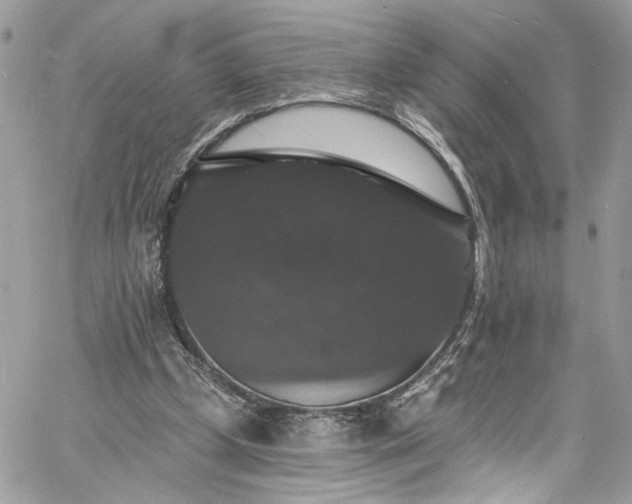 X0000060790249200511171315