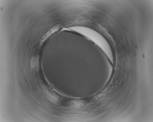 X0000060790250200511171315