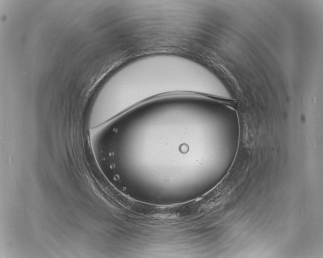 X0000060790251200511171315