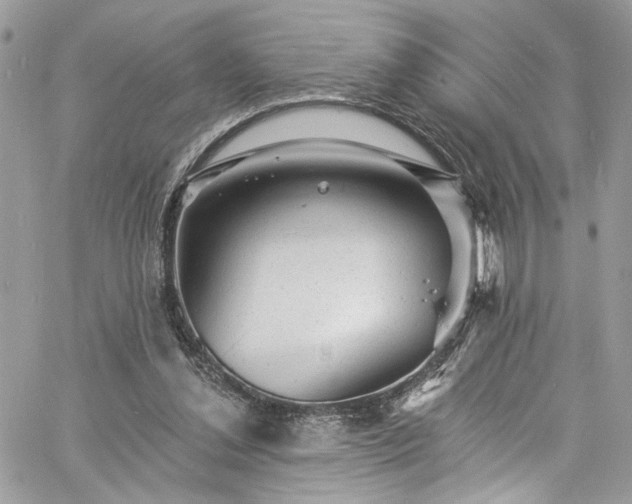 X0000060790252200511171315