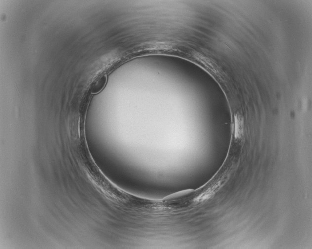 X0000060790253200511171315