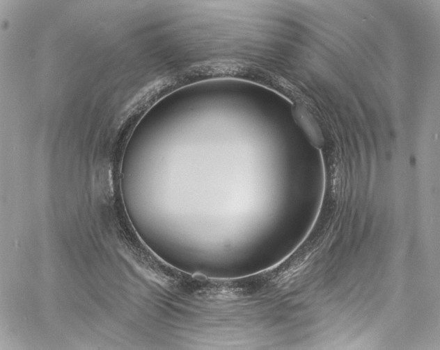 X0000060790254200511171315