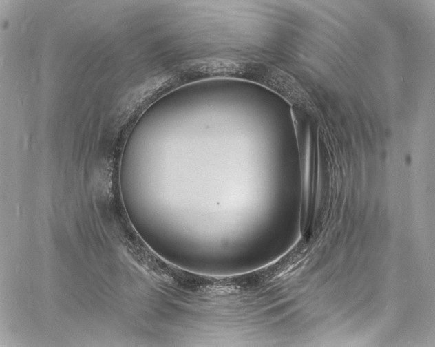 X0000060790255200511171315