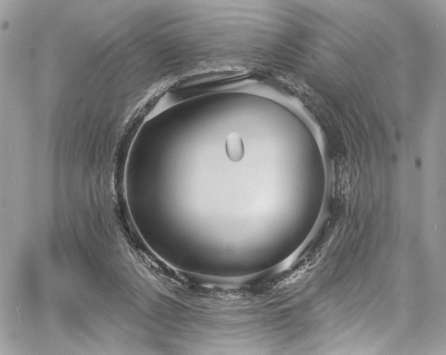 X0000060790256200511171315