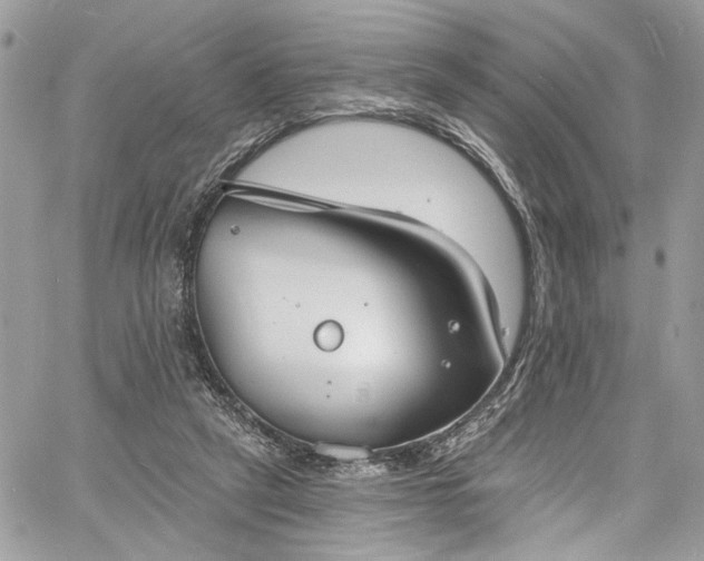 X0000060790257200511171315