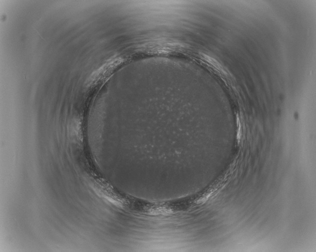 X0000060790258200511171315