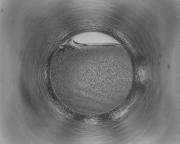 X0000060790259200511171315