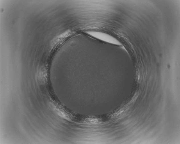 X0000060790260200511171315