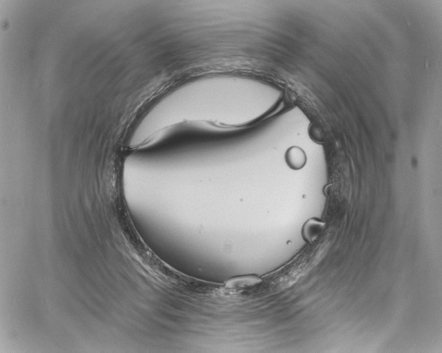 X0000060790261200511171315