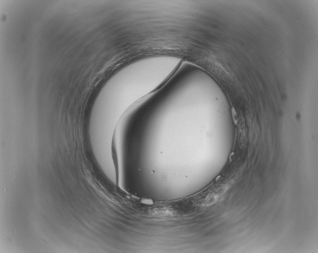 X0000060790262200511171315