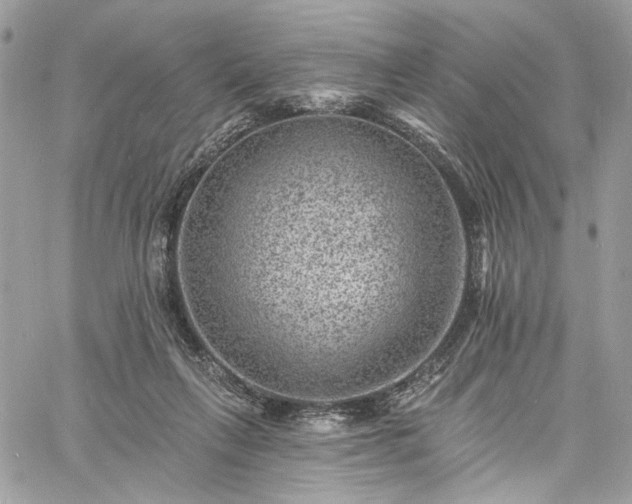 X0000060790263200511171316