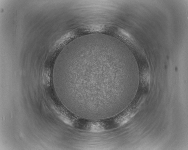 X0000060790264200511171316