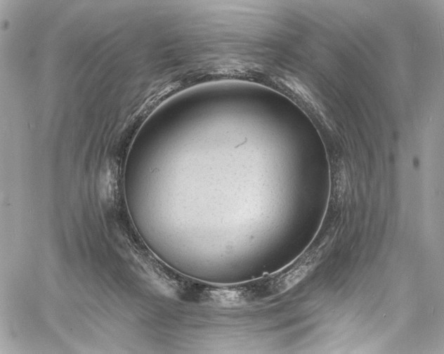 X0000060790265200511171316