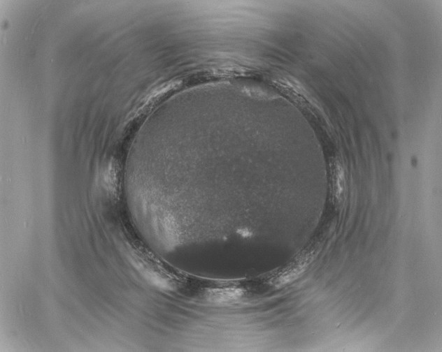 X0000060790266200511171316