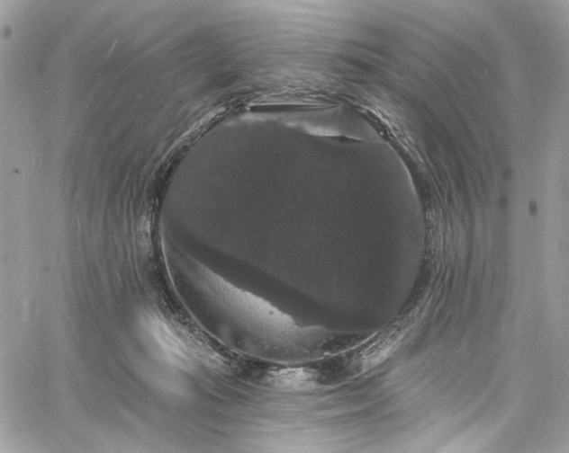 X0000060790269200511171316