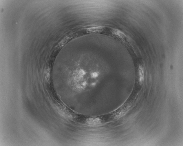 X0000060790271200511171316