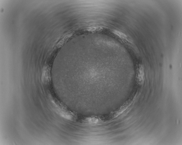 X0000060790272200511171316