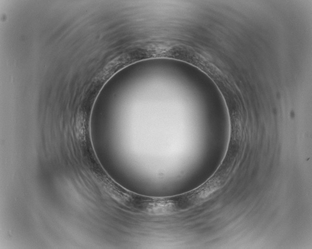 X0000060790274200511171316