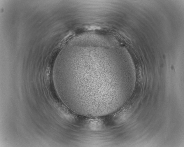 X0000060790275200511171316