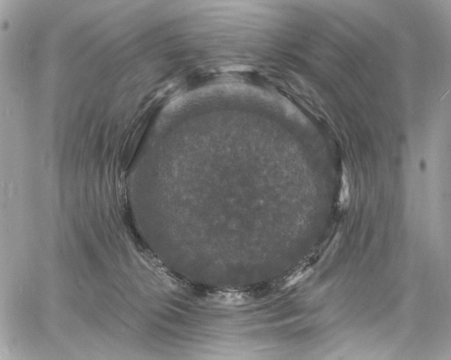 X0000060790276200511171316