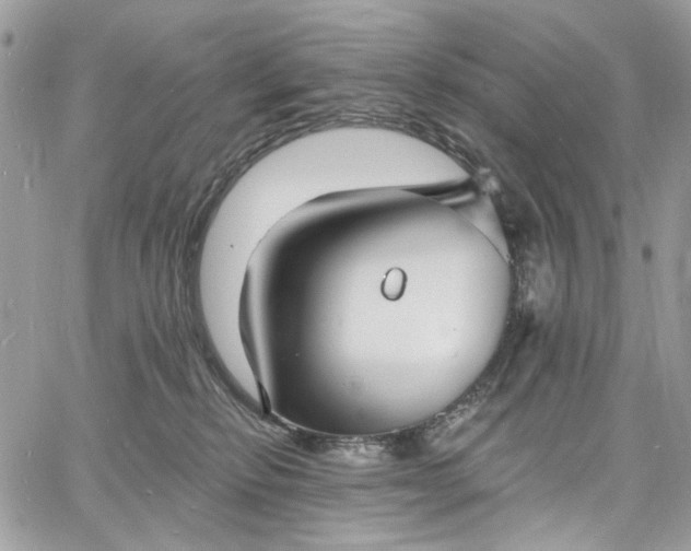 X0000060790278200511171316