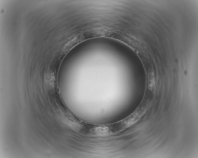 X0000060790279200511171316